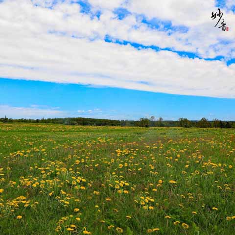 小廚日記(5)──春季限定篇